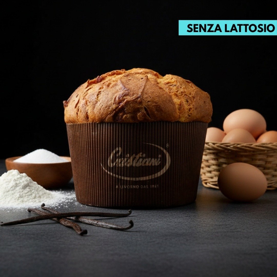 PANETTONE SENZA LATTOSIO 1KG